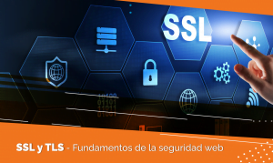 SSL, TLS y HTTPS: Comprendiendo los conceptos 1 pieza 1
